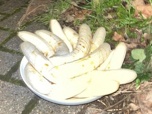 Misterius! Piring Isi Tumpukan Pisang Kupas Selalu Muncul di Jalan Ini