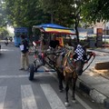 Harga Tanah di Kota Bandung Ada yang Tembus Rp 60 Juta/M2