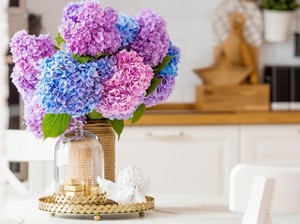 Posisi Bunga Hias yang Pas di Rumah, Bisa Usir Serangga!