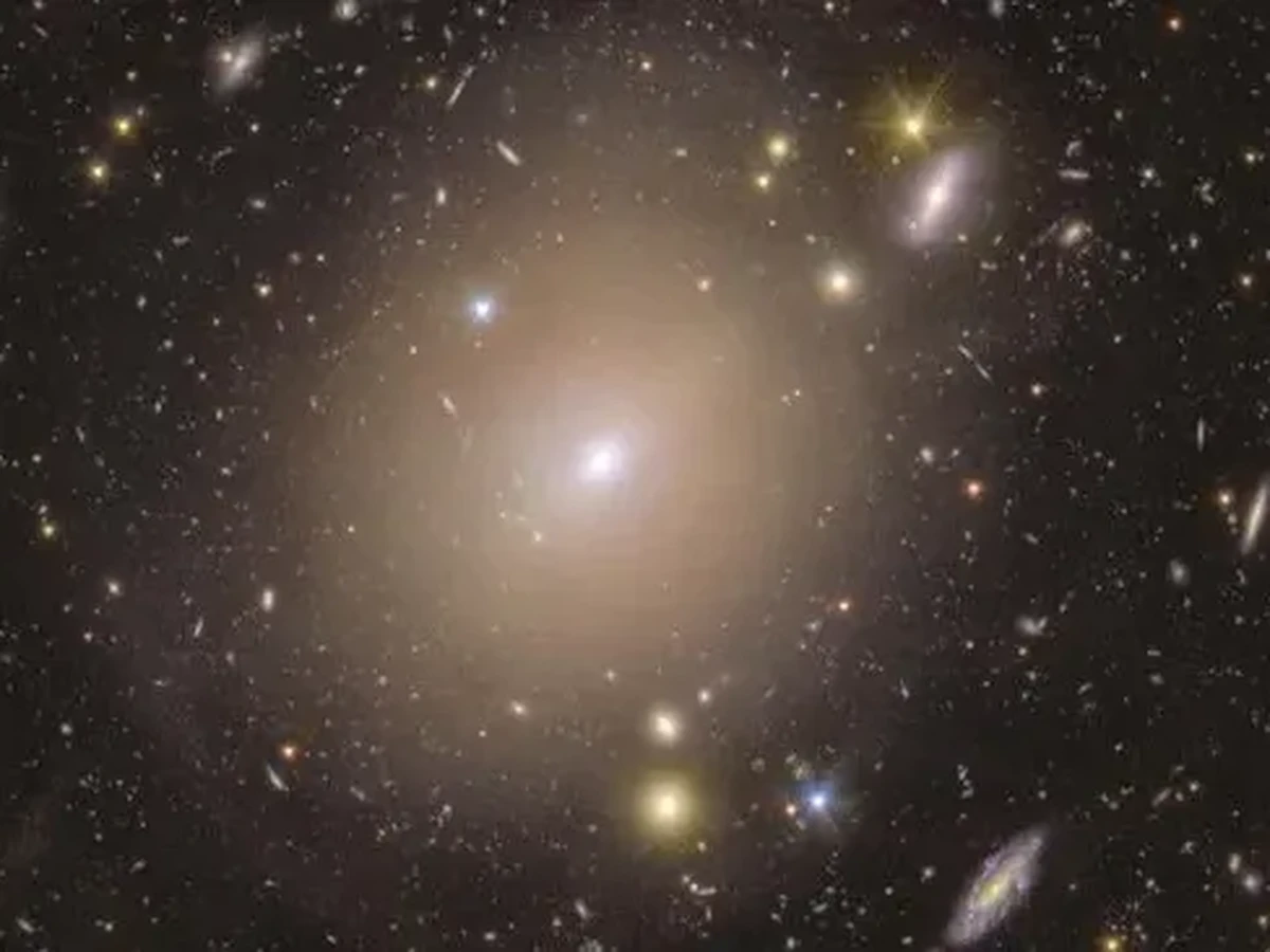 Penemuan Mikroba 2 Miliar Tahun dalam Batu Mengubah Pemahaman Evolusi