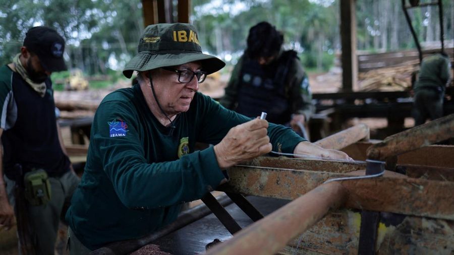 Jair Schmitt, direktur Perlindungan Lingkungan di Institut Brasil untuk Lingkungan dan Sumber Daya Alam Terbarukan (IBAMA), memeriksa kayu gelondongan yang disita dari hutan hujan Amazon selama operasi pemberantasan deforestasi, di tempat penggergajian kayu di Nova California, Negara Bagian Rondonia, Brasil, 5 Februari 2025. (REUTERS/Ueslei Marcelino)