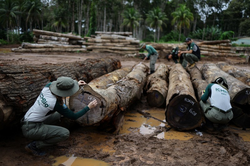 Jair Schmitt, direktur Perlindungan Lingkungan di Institut Brasil untuk Lingkungan dan Sumber Daya Alam Terbarukan (IBAMA), memeriksa kayu gelondongan yang disita dari hutan hujan Amazon selama operasi pemberantasan deforestasi, di tempat penggergajian kayu di Nova California, Negara Bagian Rondonia, Brasil, 5 Februari 2025. Jair Schmitt, direktur Perlindungan Lingkungan di Institut Brasil untuk Lingkungan dan Sumber Daya Alam Terbarukan (IBAMA), memeriksa kayu gelondongan yang disita dari hutan hujan Amazon selama operasi pemberantasan deforestasi, di tempat penggergajian kayu di Nova California, Negara Bagian Rondonia, Brasil, 5 Februari 2025. (REUTERS/Ueslei Marcelino)