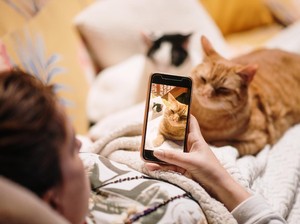 Video: Soal Operasi Transgender pada Kucing Pororo