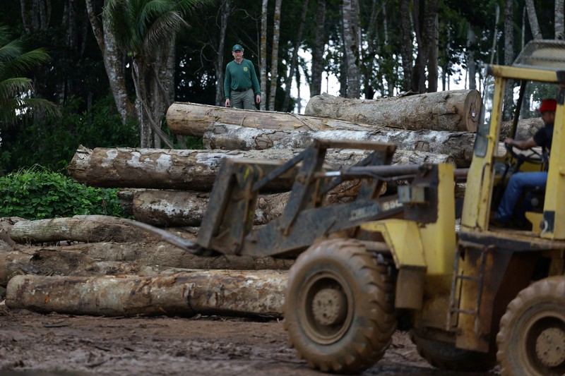 Jair Schmitt, direktur Perlindungan Lingkungan di Institut Brasil untuk Lingkungan dan Sumber Daya Alam Terbarukan (IBAMA), memeriksa kayu gelondongan yang disita dari hutan hujan Amazon selama operasi pemberantasan deforestasi, di tempat penggergajian kayu di Nova California, Negara Bagian Rondonia, Brasil, 5 Februari 2025. Jair Schmitt, direktur Perlindungan Lingkungan di Institut Brasil untuk Lingkungan dan Sumber Daya Alam Terbarukan (IBAMA), memeriksa kayu gelondongan yang disita dari hutan hujan Amazon selama operasi pemberantasan deforestasi, di tempat penggergajian kayu di Nova California, Negara Bagian Rondonia, Brasil, 5 Februari 2025. (REUTERS/Ueslei Marcelino)