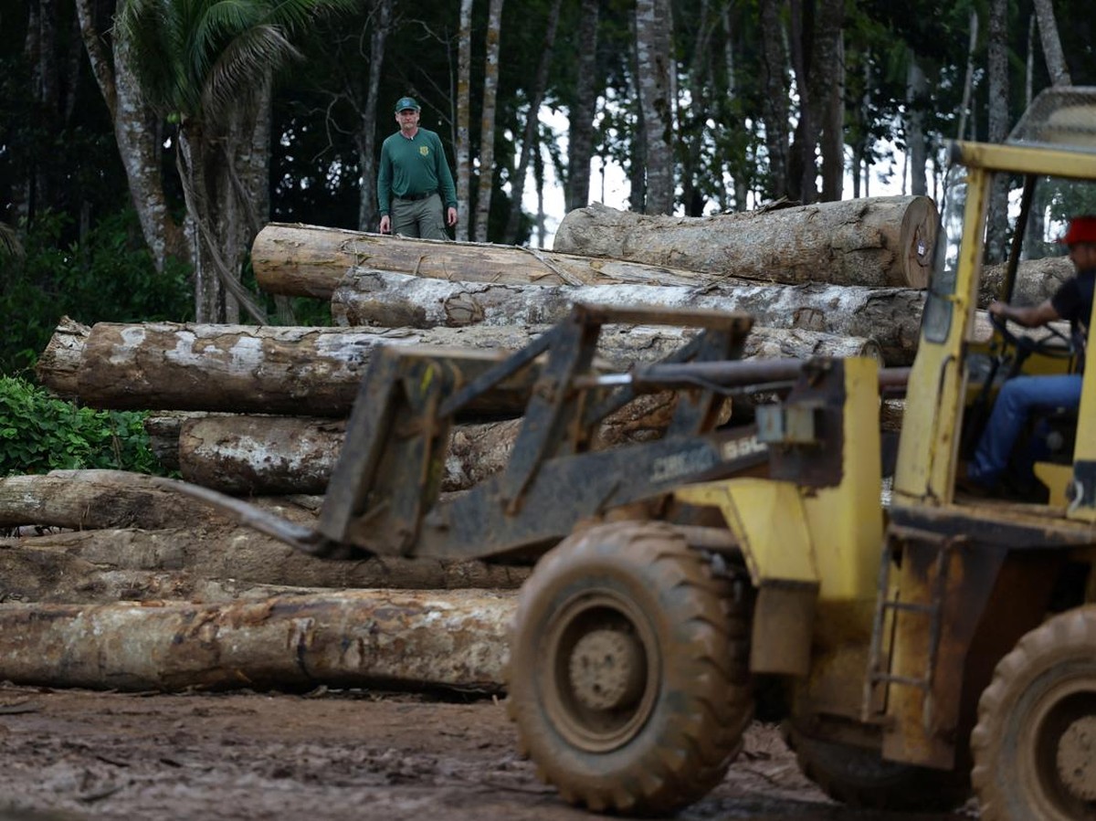 Penelitian Ungkap Tahun 2023 Jadi Tahun Terpanas 2.000 Tahun Terakhir