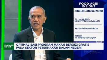 Video: Lawan Perusahaan Besar, Produksi Ayam Peternak Kecil Sulit Laku