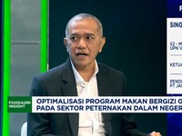 Video: Lawan Perusahaan Besar, Produksi Ayam Peternak Kecil Sulit Laku