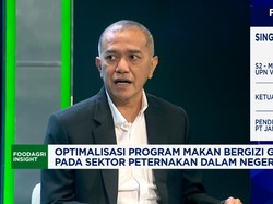 Video: Lawan Perusahaan Besar, Produksi Ayam Peternak Kecil Sulit Laku