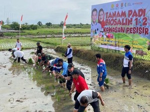 Langkah Pemkot Semarang Bangun Ketahanan Pangan dengan Padi Biosalin