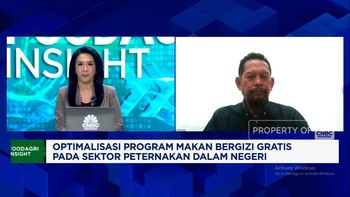 Video: Masih Oversupply, Peternak Ayam Belum Rasakan Efek Makan Gratis