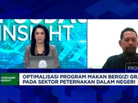 Video: Masih Oversupply, Peternak Ayam Belum Rasakan Efek Makan Gratis