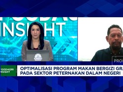 Video: Masih Oversupply, Peternak Ayam Belum Rasakan Efek Makan Gratis