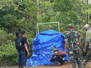 Mangsa Ternak Warga, Harimau Sumatera di Lampung Masuk Kandang Jerat