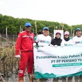 PTPP Tanam 1.000 Mangrove di Pesisir Tambakrejo