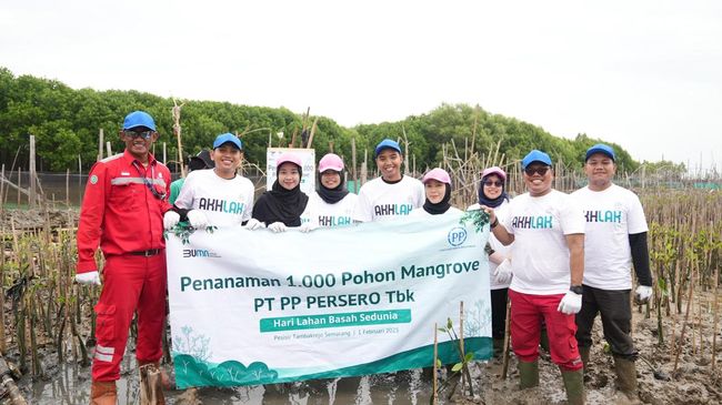 PTPP Tanam 1.000 Mangrove di Pesisir Tambakrejo