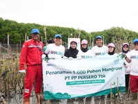 PTPP Tanam 1.000 Mangrove di Pesisir Tambakrejo