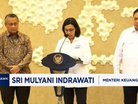Video: Sri Mulyani: Penempatan DHE SDA Sudah Lampaui Batas Aturan 30%
