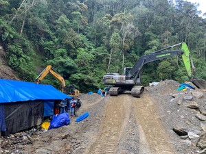 Polda Papua Barat Tangkap 22 Penambang Emas Ilegal di Pegunungan Arfak