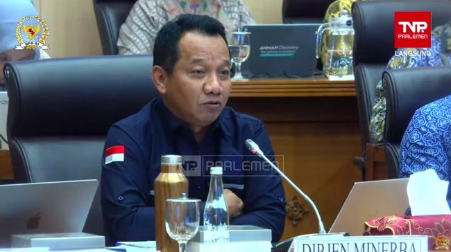 Cegah Kebakaran Smelter Terulang, Ini yang Harus Dilakukan Freeport