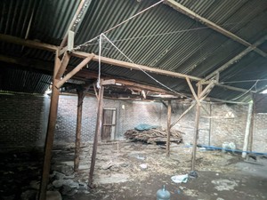 Cerita Warga Madiun Sering Jumpai Kobra di Bantal Saat Tidur