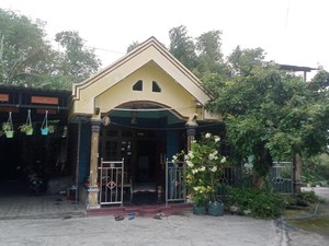 Ngeri! Rumah Warga di Madiun Jadi Sarang Ular Kobra