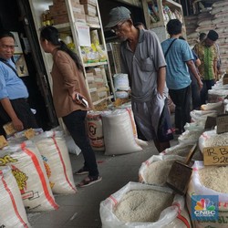 Data BPS: Harga Beras di Grosir & Eceran Merangkak Naik
