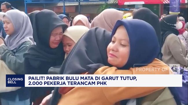 Video: Pailit! Pabrik Bulu Mata di Garut Tutup, Pekerja Terancam PHK