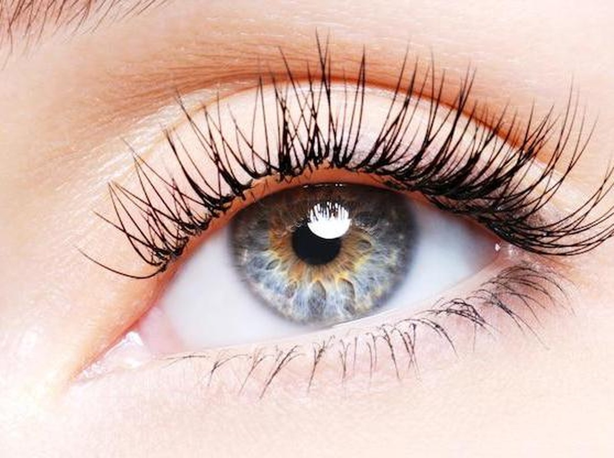 Mata Bisa Deteksi Risiko Penyakit Jantung dan Penuaan Dini Lewat Pembuluh Darah Retina