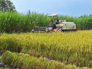 RI Mau Belajar dari Belanda, Pakai AI buat Sektor Pertanian