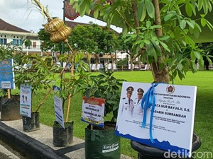 Bibit Tanaman Ucapan Selamat Bupati-Wakil Bupati Pacitan Penuhi Pendopo