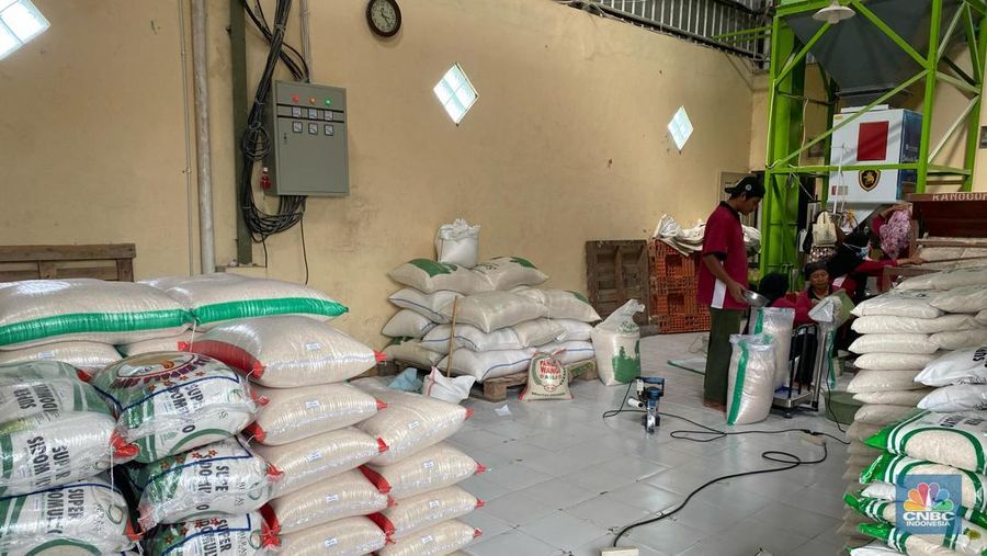 Gabungan kolompok tani (Gudang) Sidomulyo di Godean, Seleman, Yogyakarta, Jumat (21/2/2025). (CNBC. Indonesia/Zahwa Madjid)