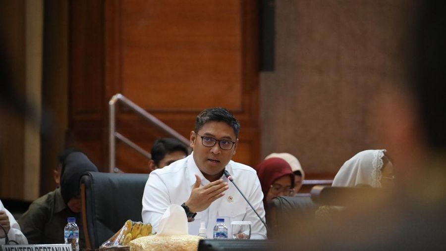 Wamentan Sudaryono. (Dok. Kementan)