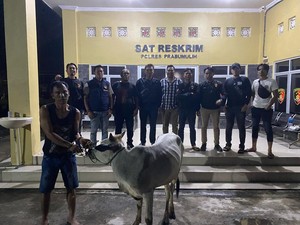 Spesialis Pencuri Hewan Ternak yang Beraksi di 5 TKP Prabumulih Ditangkap