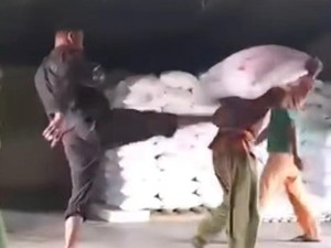 Viral Aksi Mandor Layangkan Tendangan Kungfu ke Kuli Panggul di Jambi