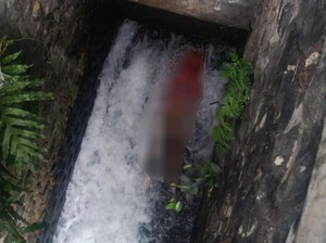 Geger, Mayat Perempuan Ditemukan Tersangkut di Sungai Lombok Timur