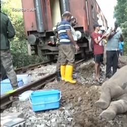 Video: Penampakan Kereta Penumpang Tabrak Keluarga Gajah, 6 Tewas