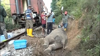 Video: Penampakan Kereta Penumpang Tabrak Keluarga Gajah, 6 Tewas