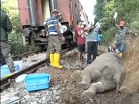 Video: Penampakan Kereta Penumpang Tabrak Keluarga Gajah, 6 Tewas