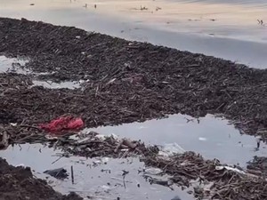 Warga Ngaku Kewalahan Bersihkan Sampah Kayu di Sepanjang Pantai Makassar