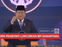 Video: Kelola Rp14.600 Triliun, Danantara Jadi Salah Satu SWF Terbesar