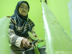 Lidah Buaya dari Jaktim Diolah Jadi Makanan-Herbal, Tembus ke Turki