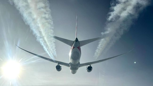 Pilot Tewas Mengenaskan Tiba-tiba Linglung, Penyebabnya Bikin Miris