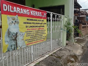 Jengkel Warga Tasik gegara Kampungnya Jadi Tempat Pembuangan Kucing