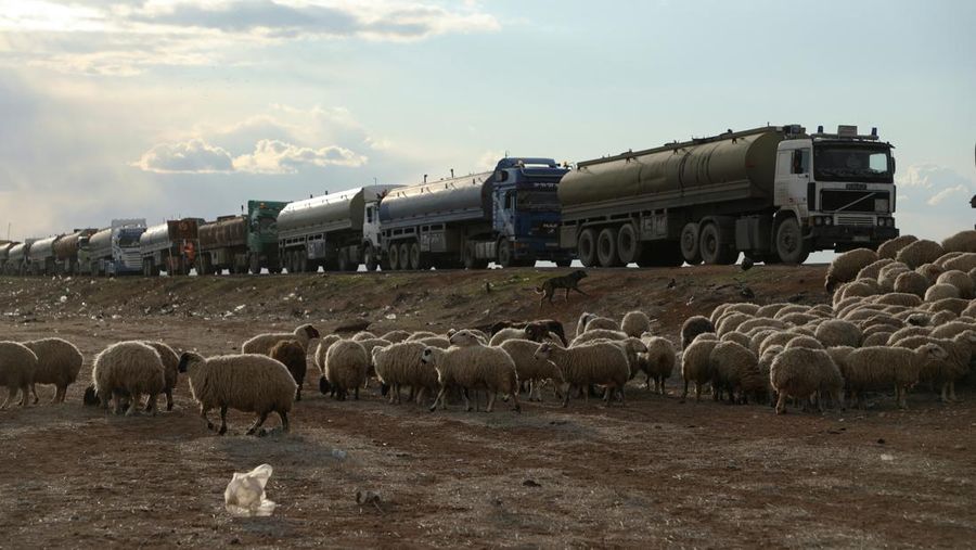 Truk-truk tangki minyak antre berbaris di Qamishli, Suriah, Minggu (23/2/2025) waktu setempat. (REUTERS/Orhan Qereman)