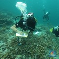 Begini Cara BRI Jaga Ekosistem Laut & Tingkatkan Pendapatan Nelayan