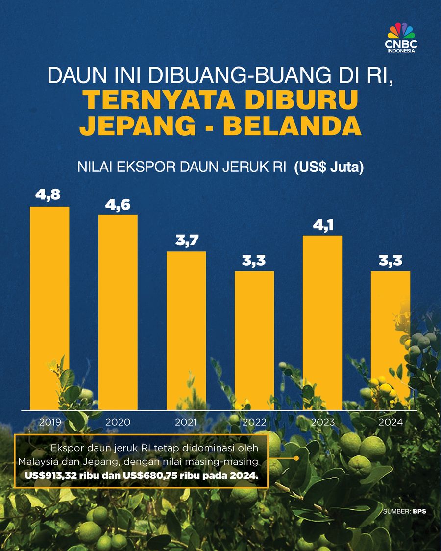 Daun Ini Dibuang-buang di RI, Ternyata Diburu Jepang - Belanda Daun Ini Dibuang-buang di RI, Ternyata Diburu Jepang - Belanda