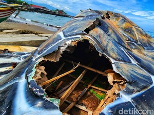 Viral Ornamen Penyu di Sukabumi Rusak Parah, Kontraktor Buka Suara