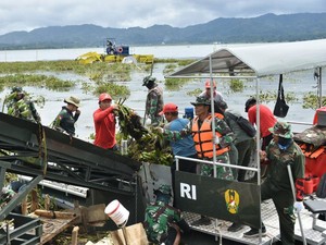 TNI dan Warga Bersihkan Eceng Gondok di Danau Tondano