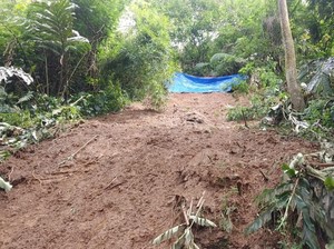 Tebing 35 Meter di Puncak Bogor Longsor, Sempat Tutup Jalan Raya
