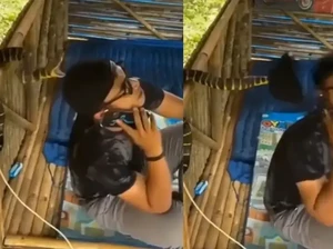 Viral Video Ular Berbisa Serang Pria, Endingnya Mengejutkan